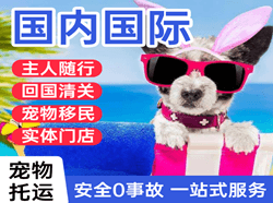 长春龙嘉空运代理国际宠物托运 【国